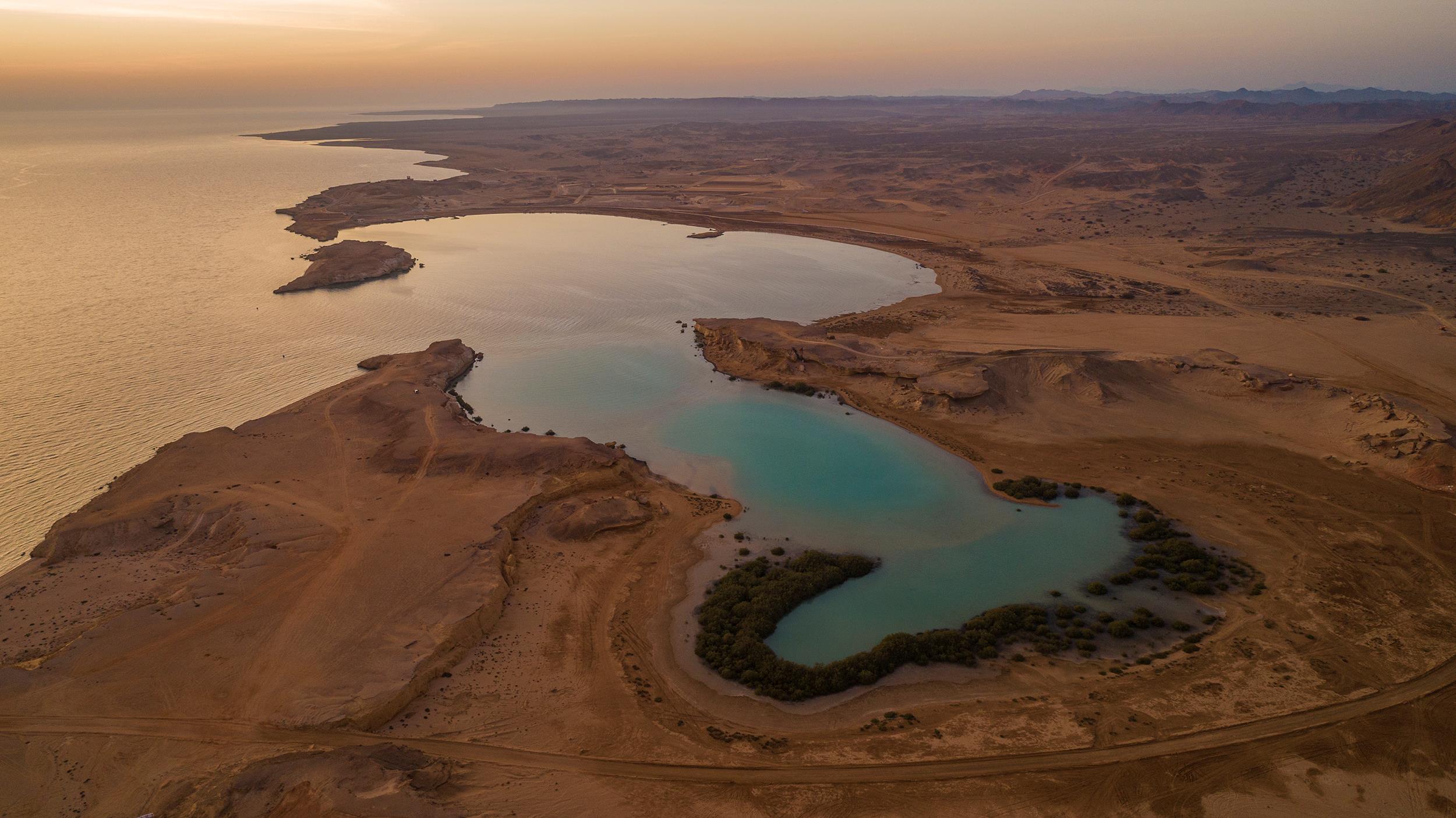 5-Day Red Sea Road Trip: Saudi Coastal Itinerary