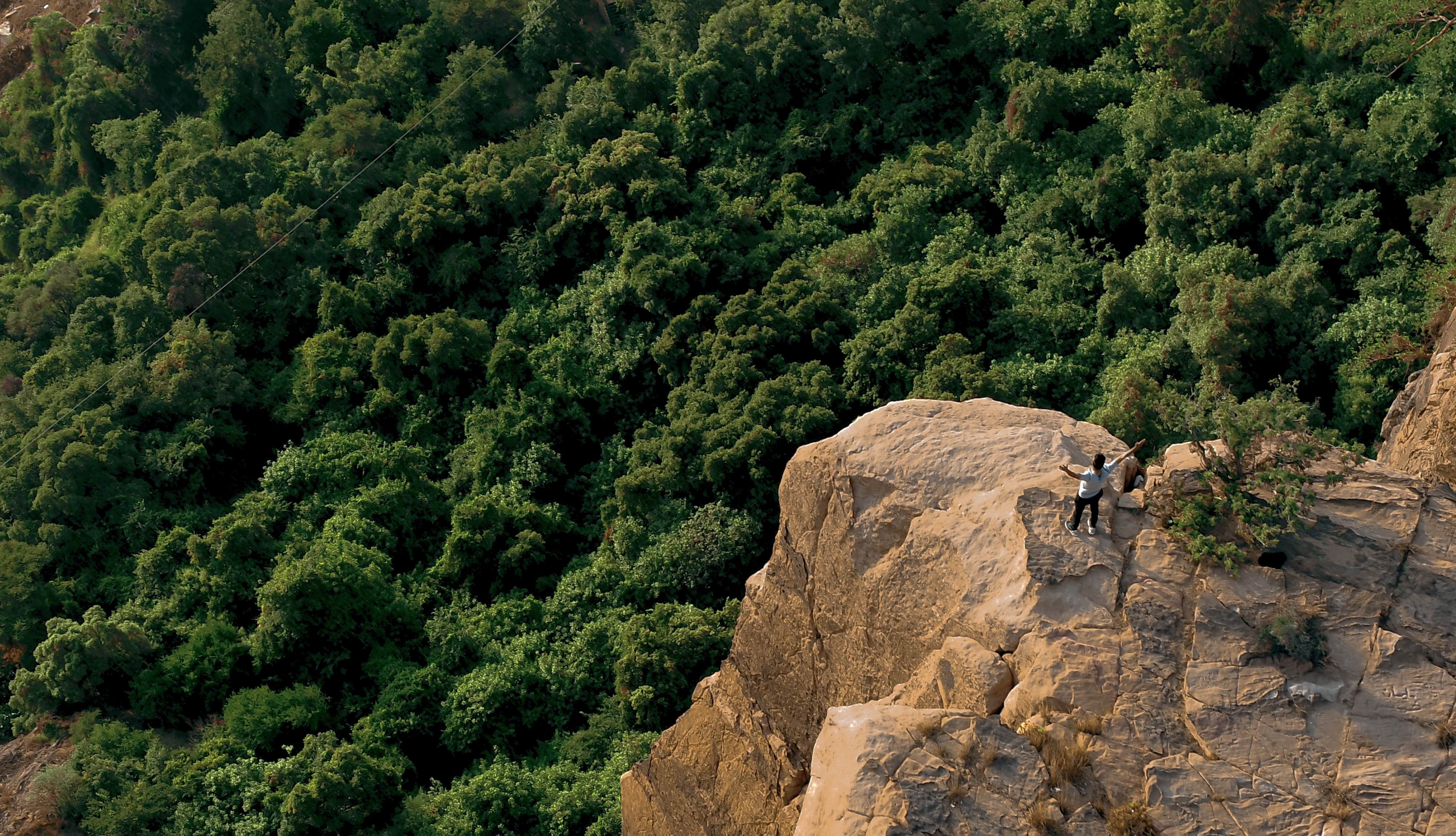 Hiker standing on a cliff edge overlooking dense green forests in the Asir Mountains near Abha, Saudi Arabia