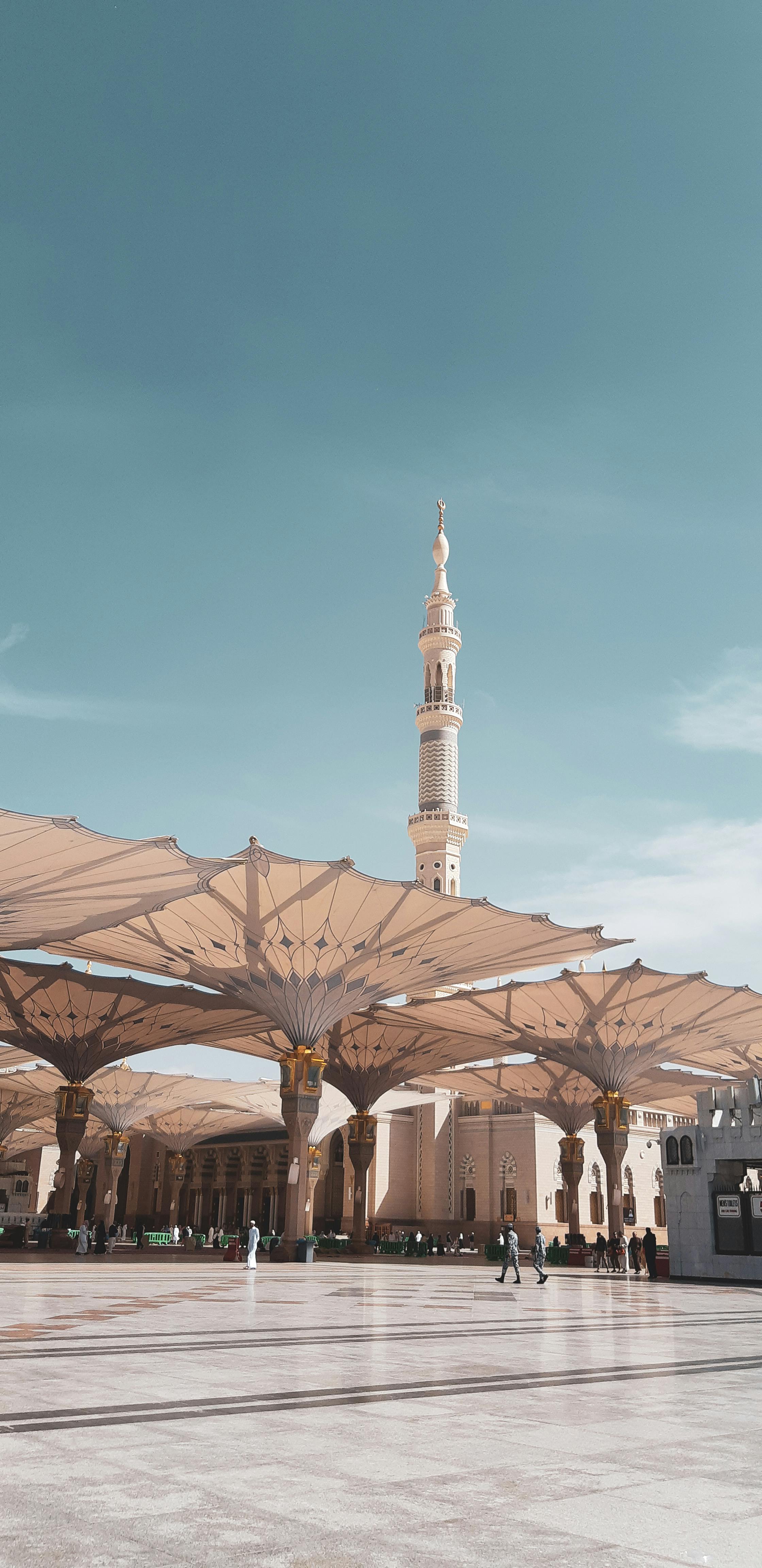Jeddah to Medina Road Trip: Best Stops 2026