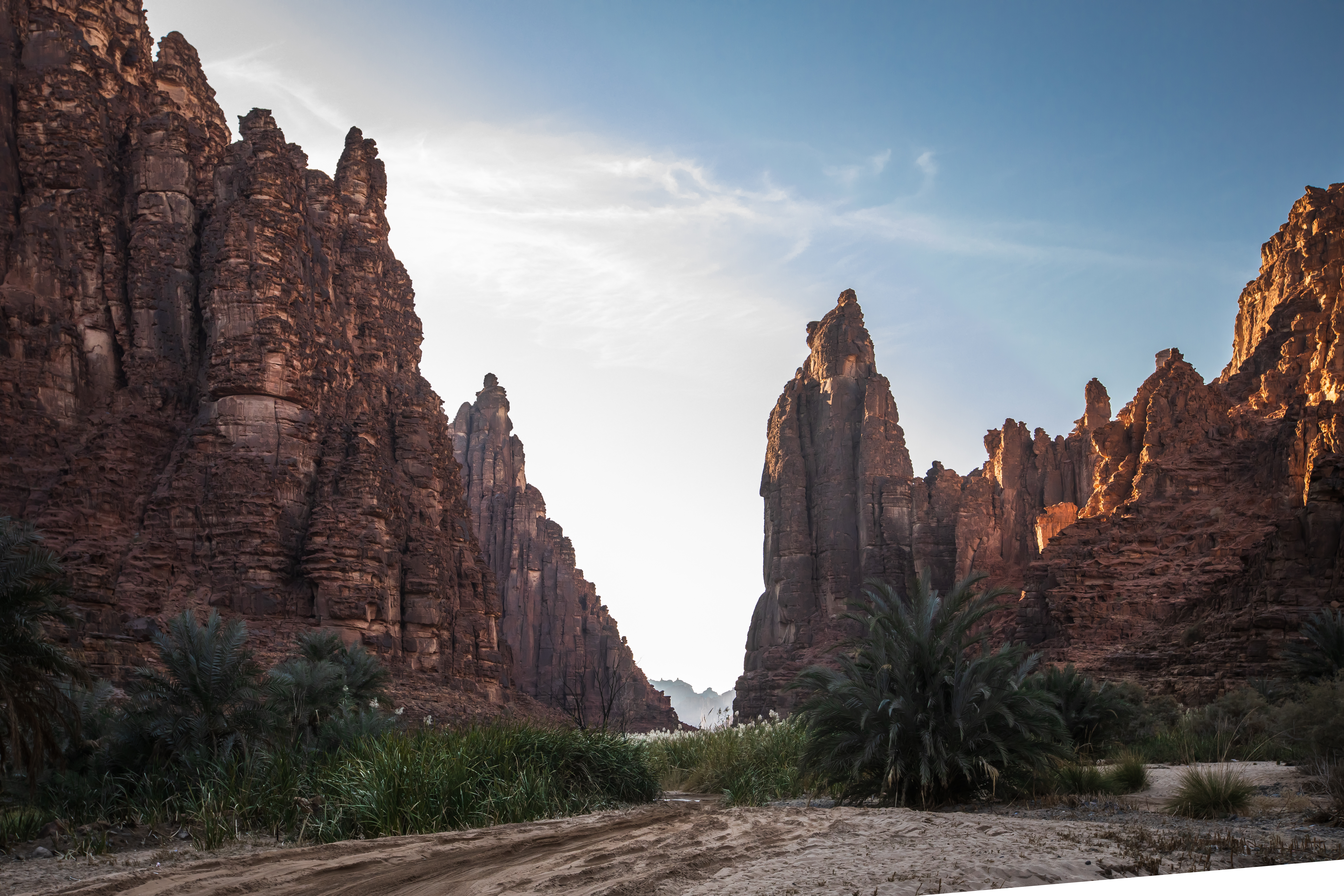 Saudi Arabia Money Guide - Currency, Cards & Budgeting